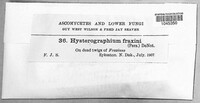 Image Associated With the Occurence